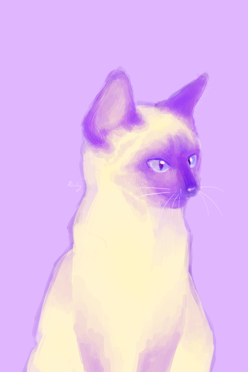 Chat 1 carte.png